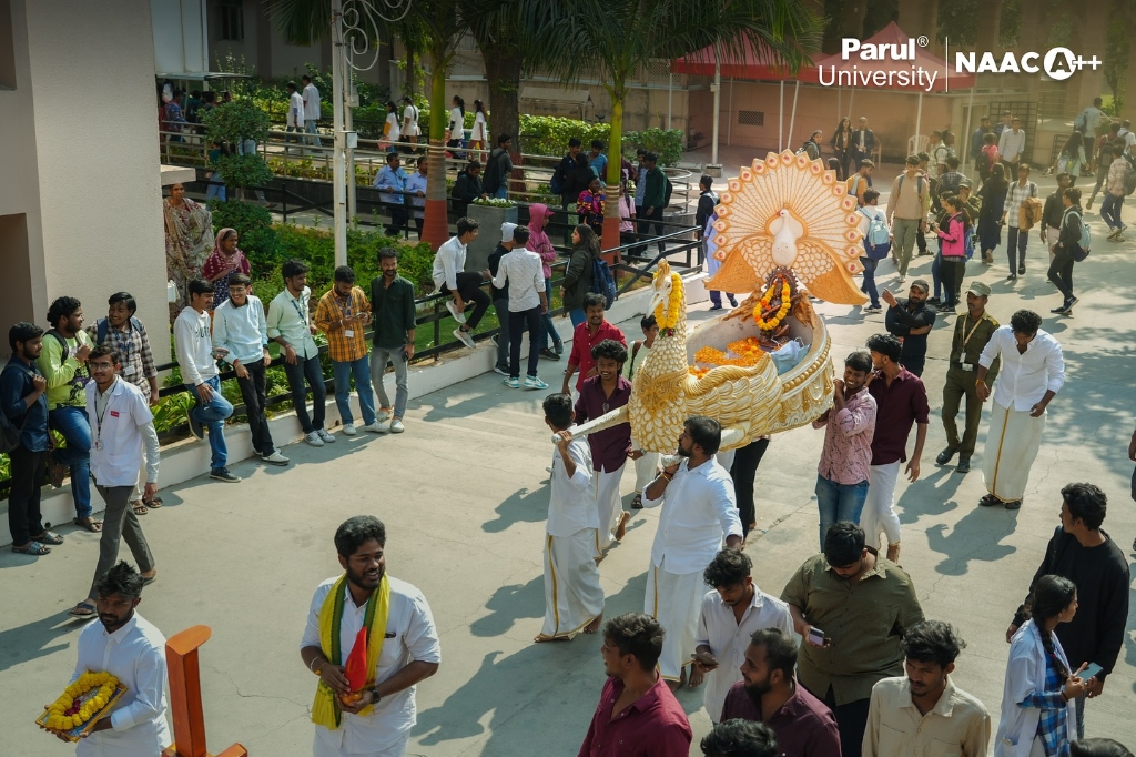 Parul University Campus View 1